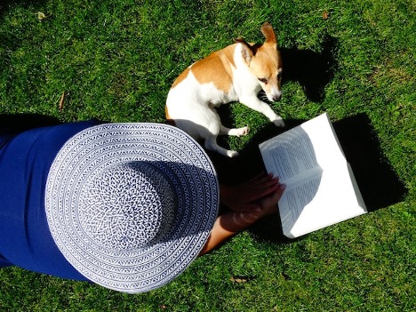 a dog owner reading a book